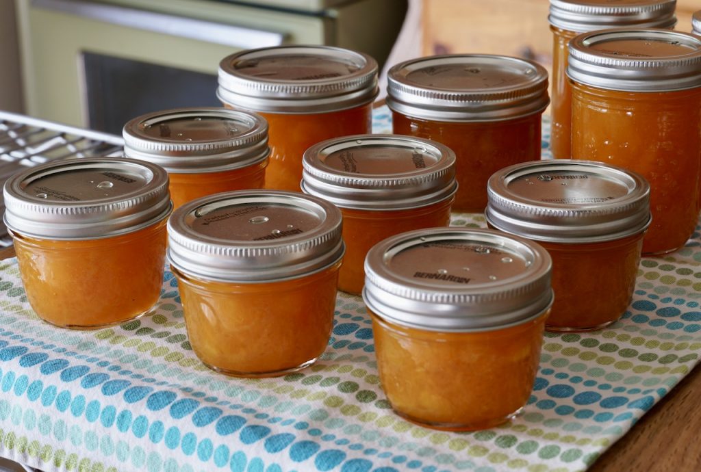 The jars of apricot jam just out of the water bath