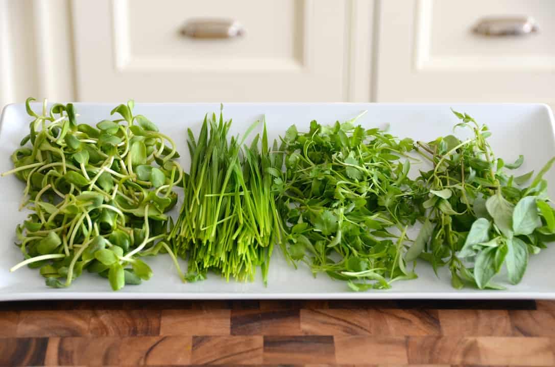 Assorted herbs and micro greens