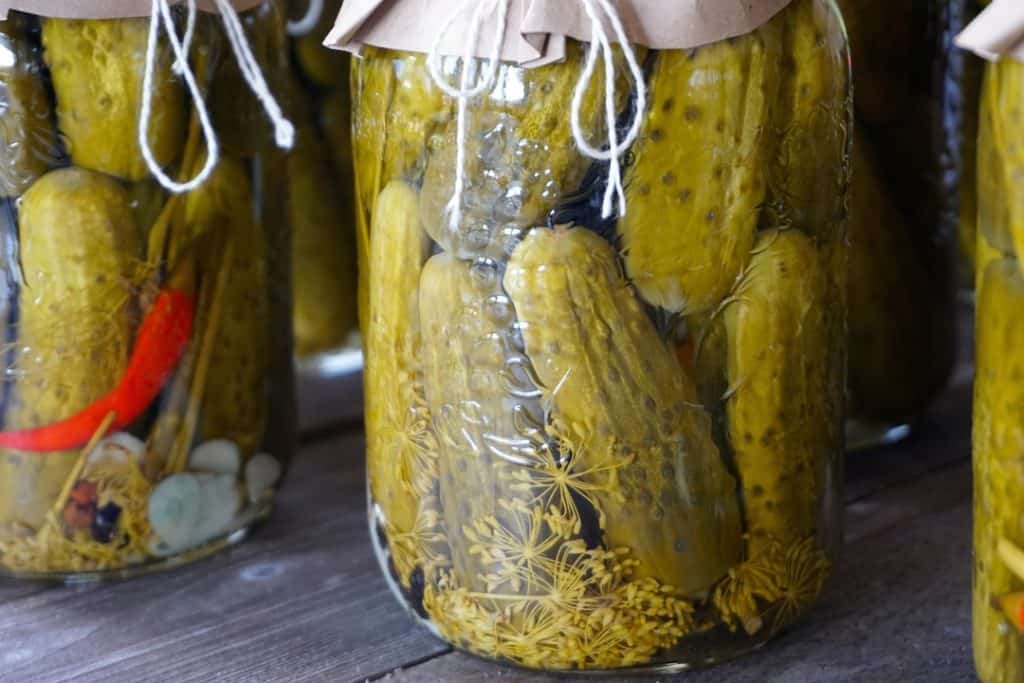 Garlic Dill Pickles Recipe