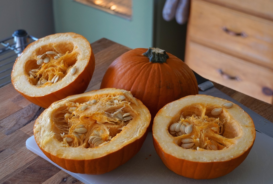 Sugar pumpkins split and ready to be oven-roasted