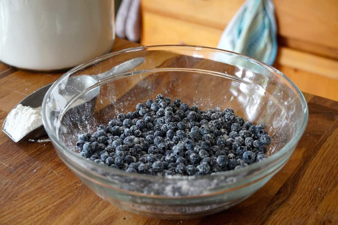 Wild blueberries tossed in a bit of flour