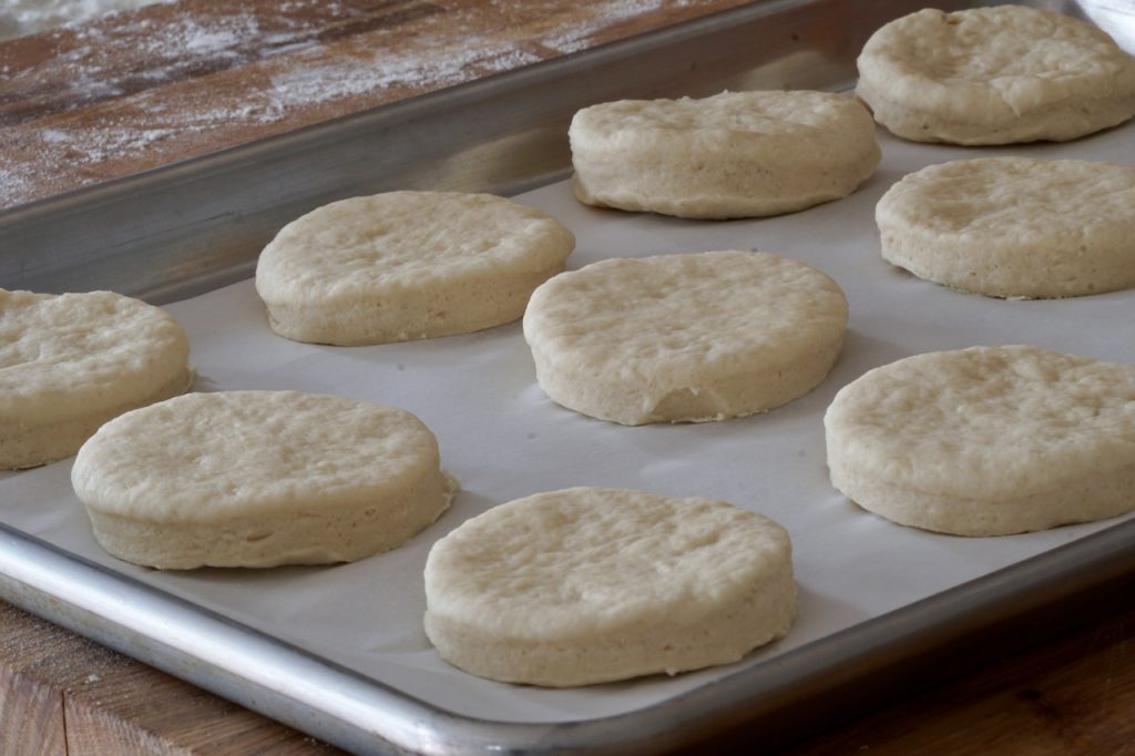 Tea biscuits cut out and place onto a baking sheet