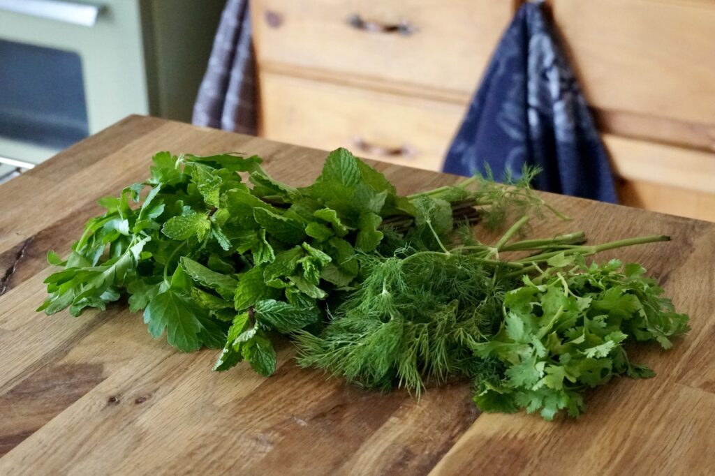 Bunches of fresh dill, mint, cilantro and parsley.