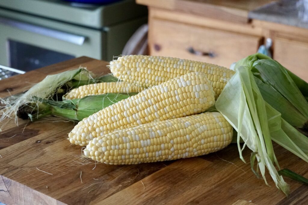 Four ears of freshly shucked summer corn.
