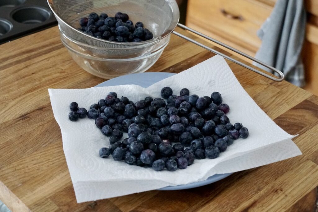Fresh blueberries, freshly washed.