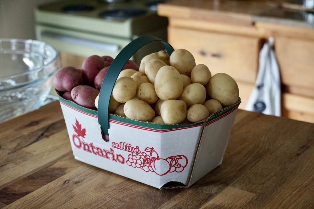 A basket of locally grown Ontario new crop white potatoes.