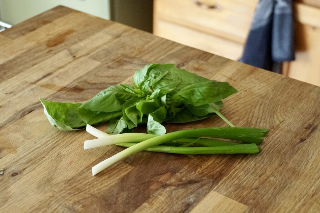 Green onions and a bunch of fresh basil leaves.