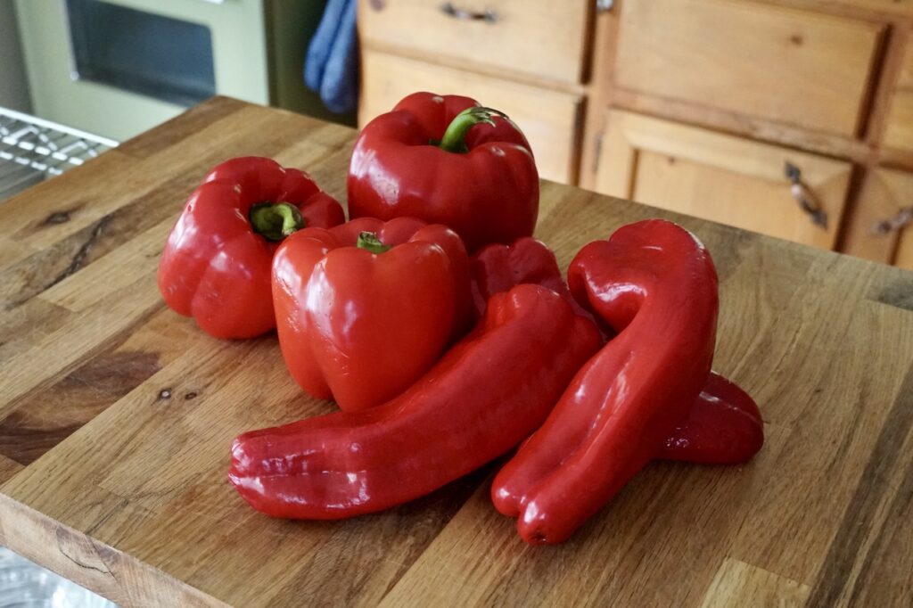 A combination of shepherd and red bell peppers.