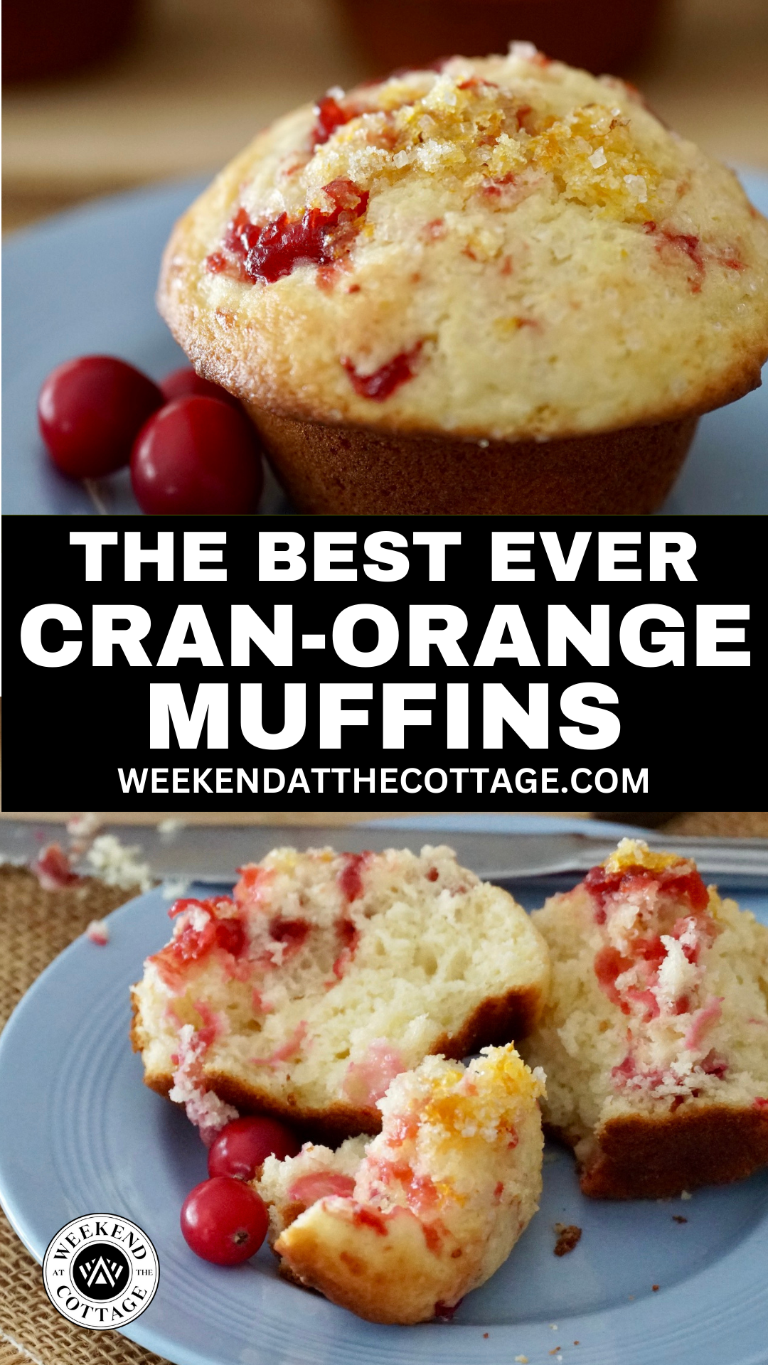 Cranberry-Orange Muffin Recipe