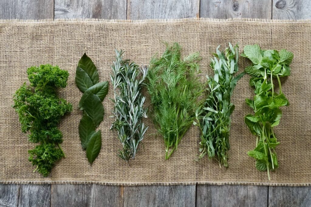 An assortment of fresh herbs including: parsley bay leaves, rosemary, dill, tarragon and mint.