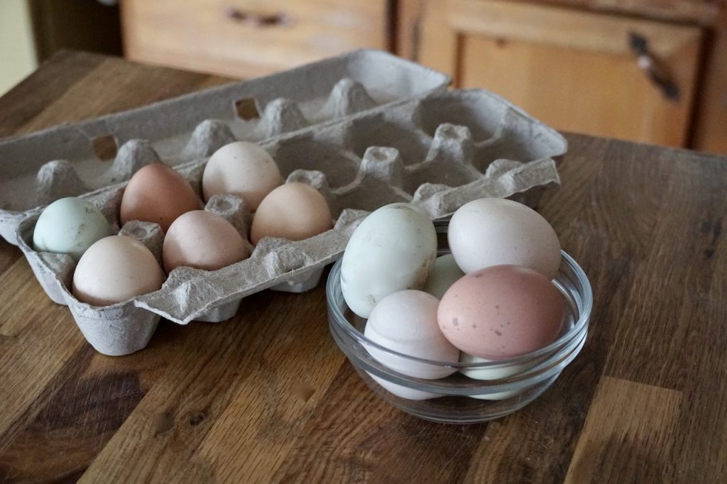 A carton of freshly laid large eggs.