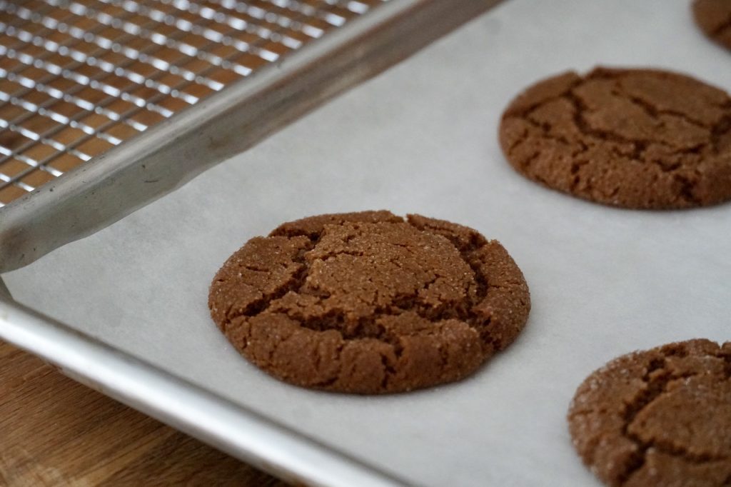 A close up of one baked soft and chewy ginger cookie.