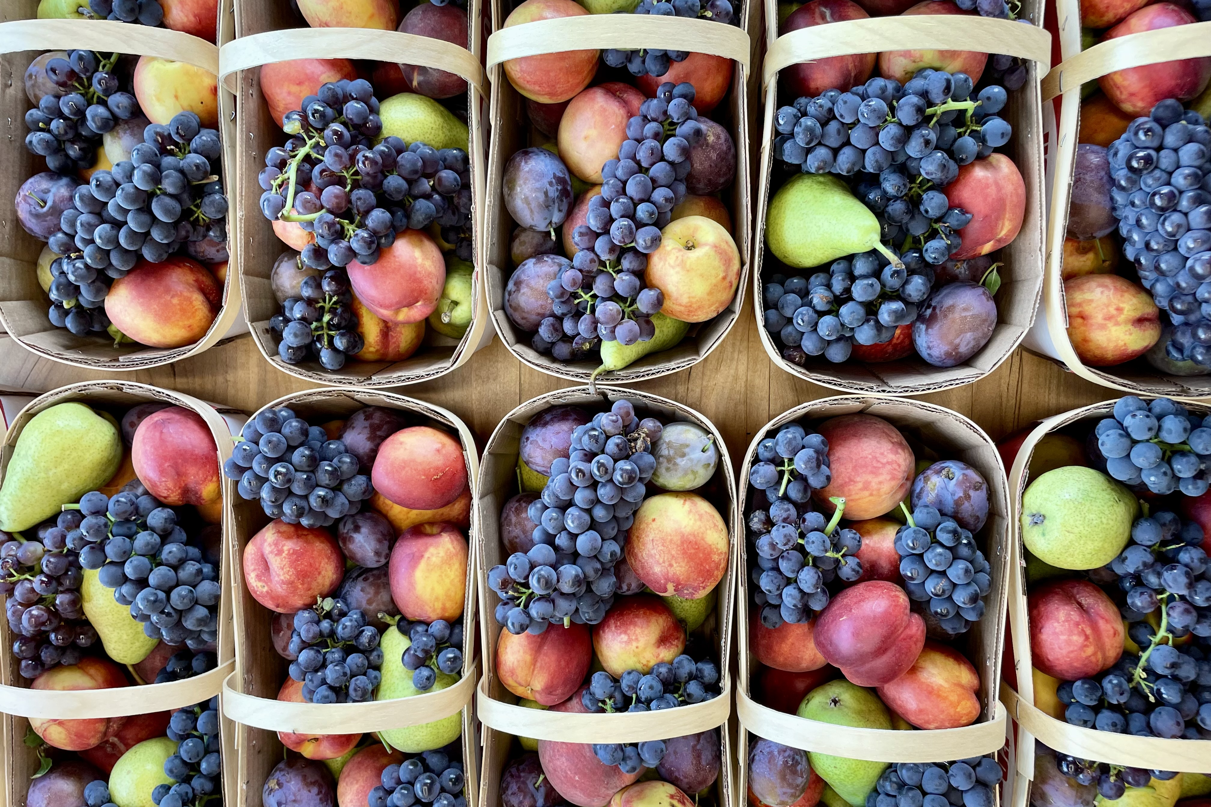 Assorted fresh Ontario tender fruit featuring stone fruit and grapes.