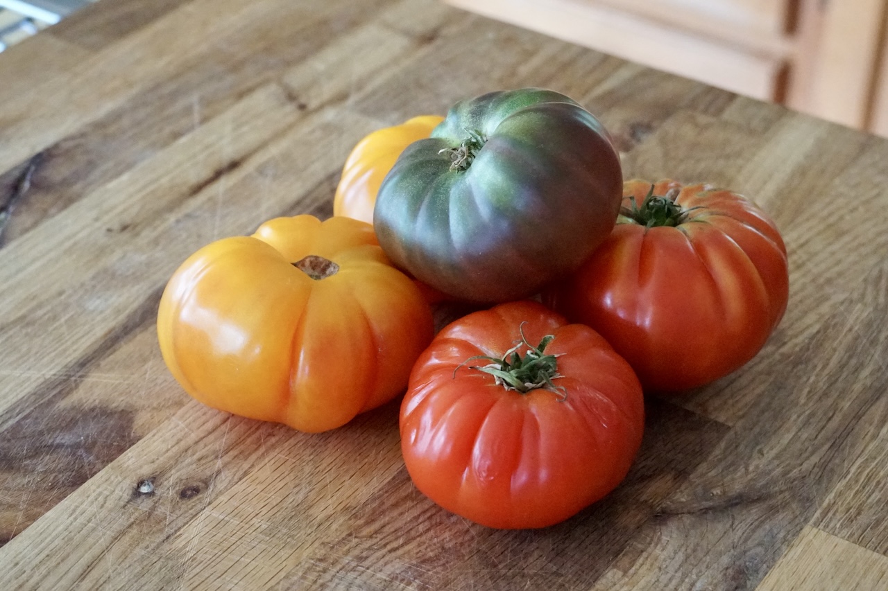 A cluster of freshly picked heirloom tomatoes.